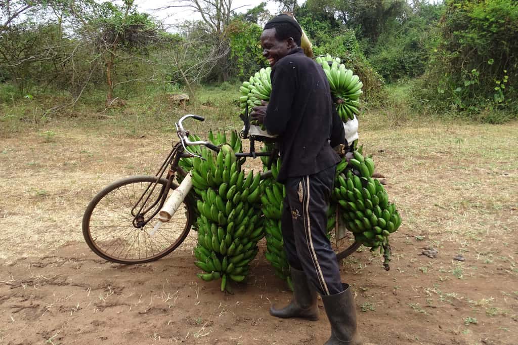Building collaborations in Uganda