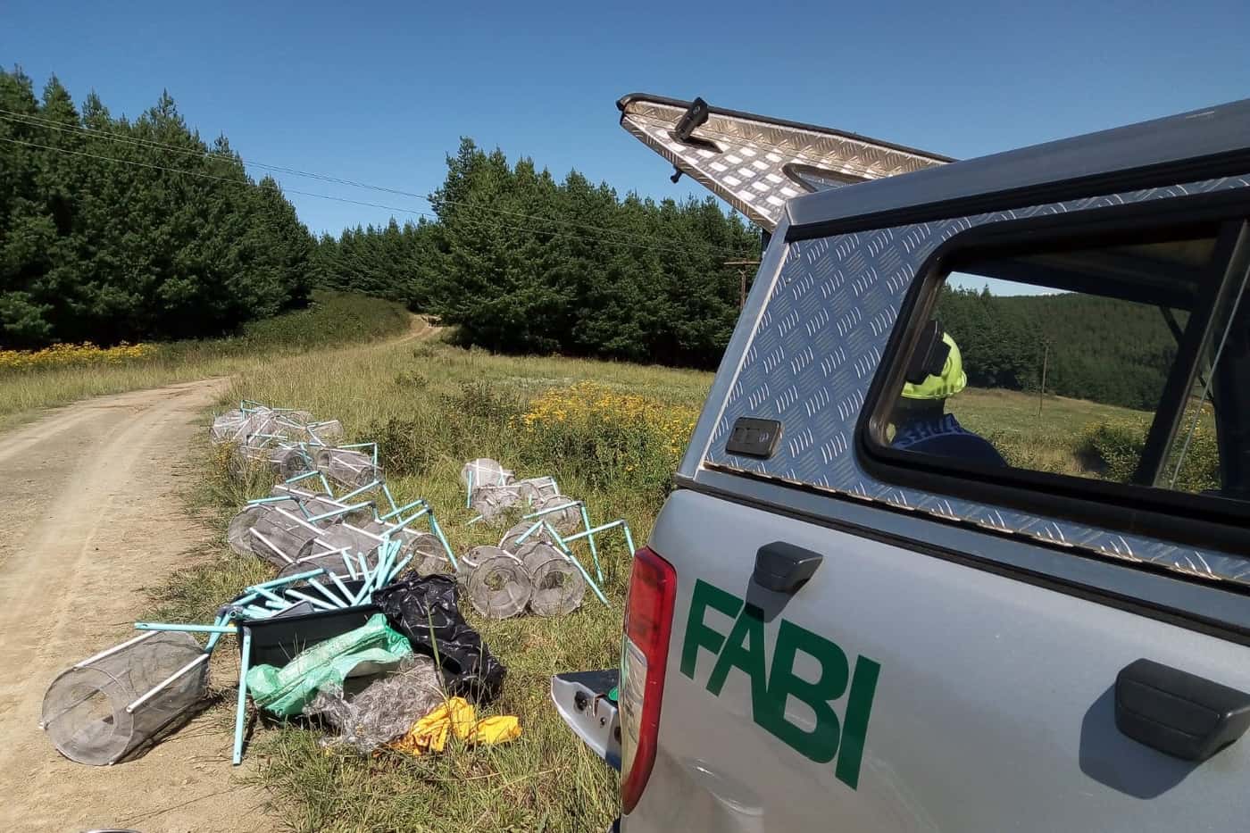 Moth pheromone trial in Underberg, KZN