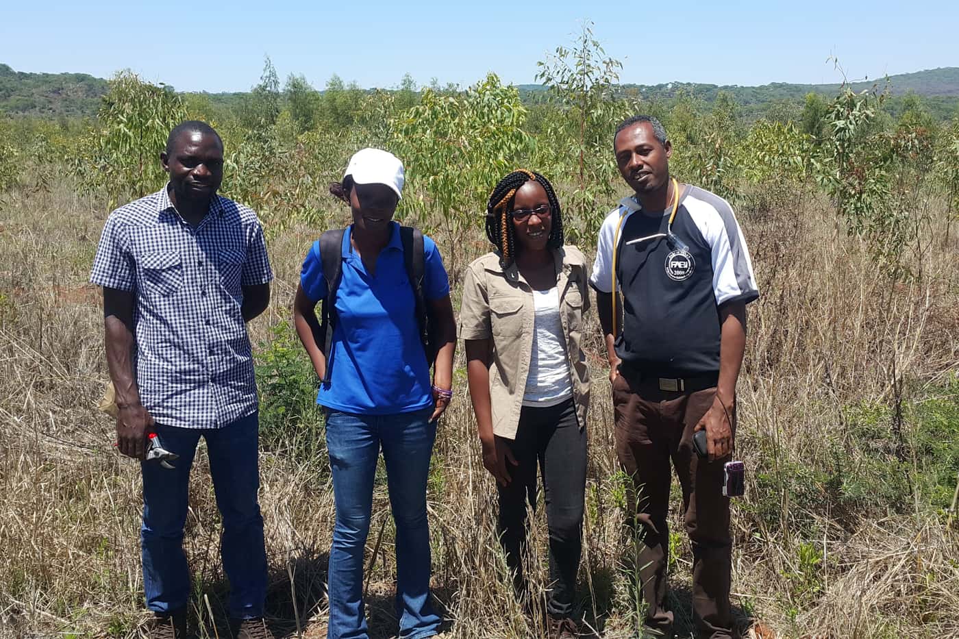 Collaborative effort reveals diversity and distribution of eucalypt insect pests across 14 African c
