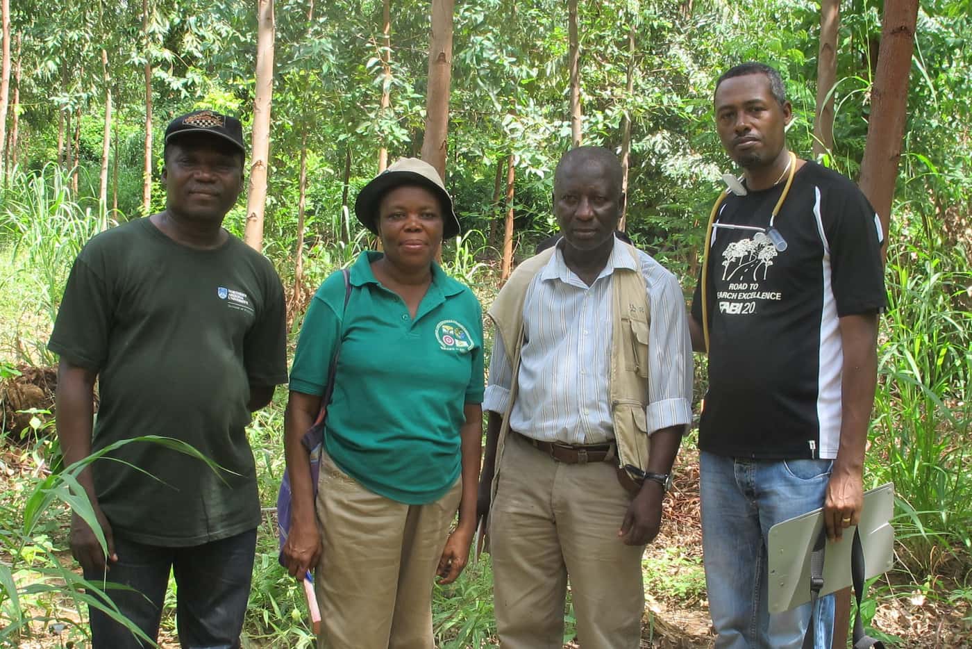 Collaborative effort reveals diversity and distribution of eucalypt insect pests across 14 African c