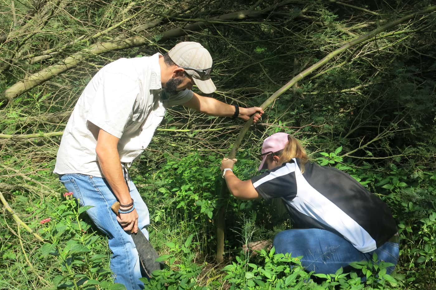 FABI extension trip covers two countries