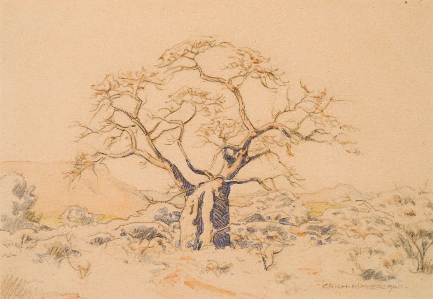 Erich Mayer