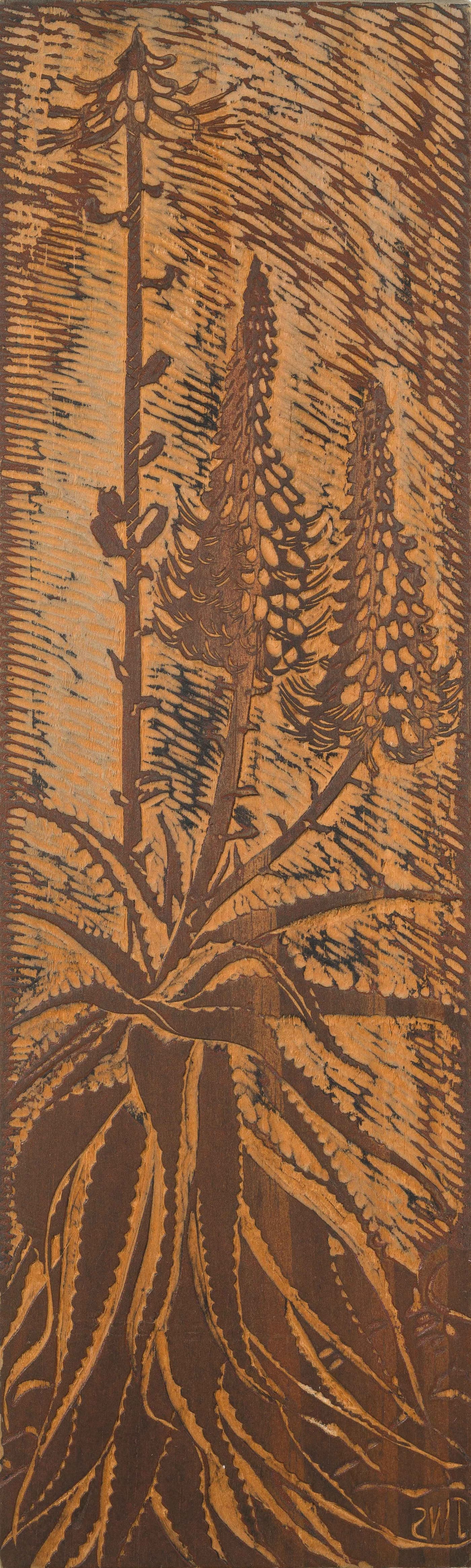 Wynand Steyl