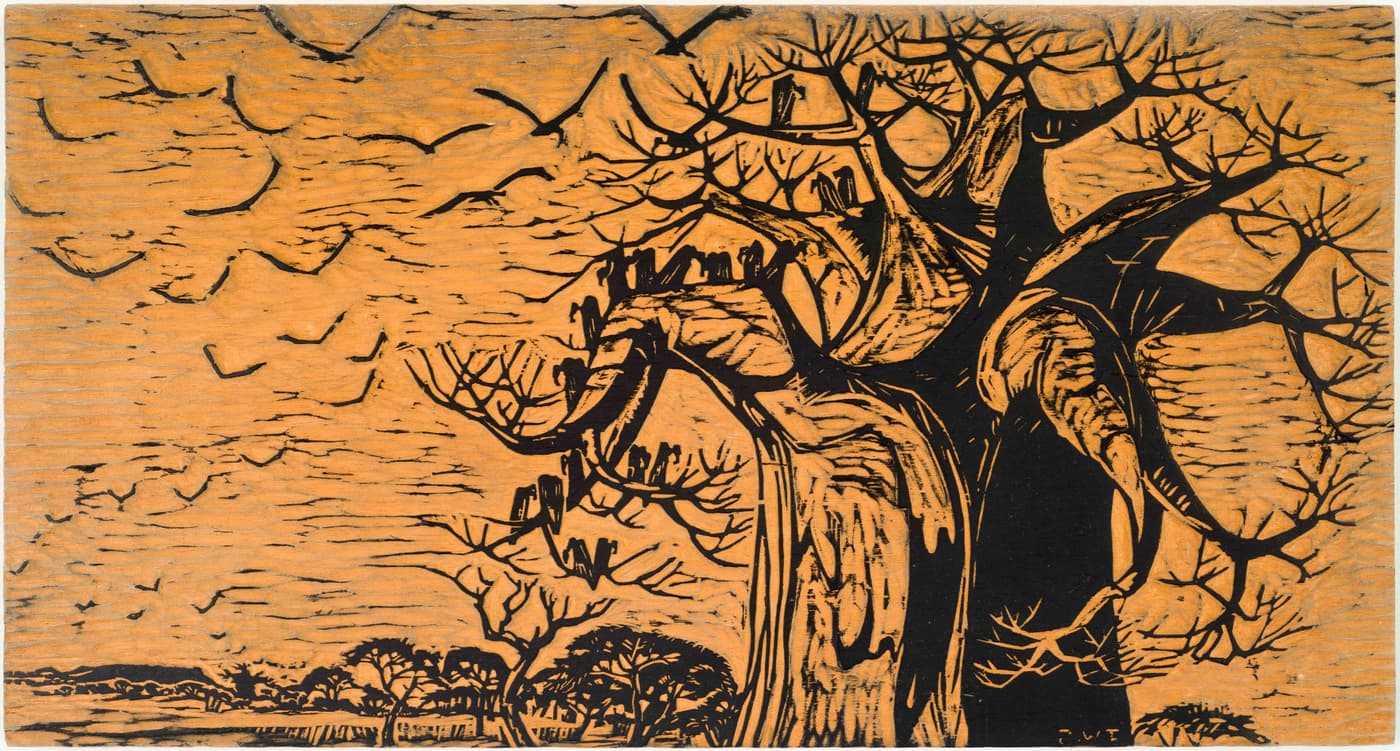 Wynand Steyl