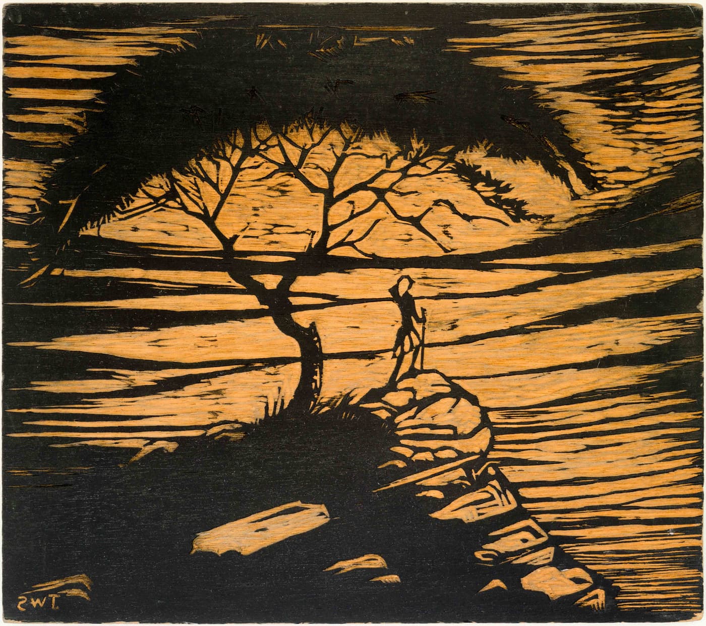 Wynand Steyl