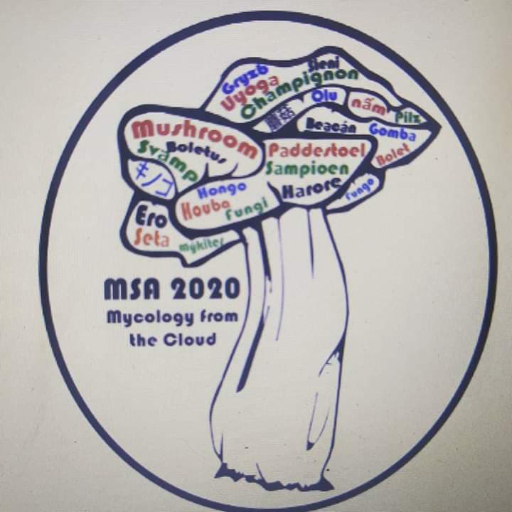FABI mycologists participate in the annual MSA meeting: Mycology in the cloud