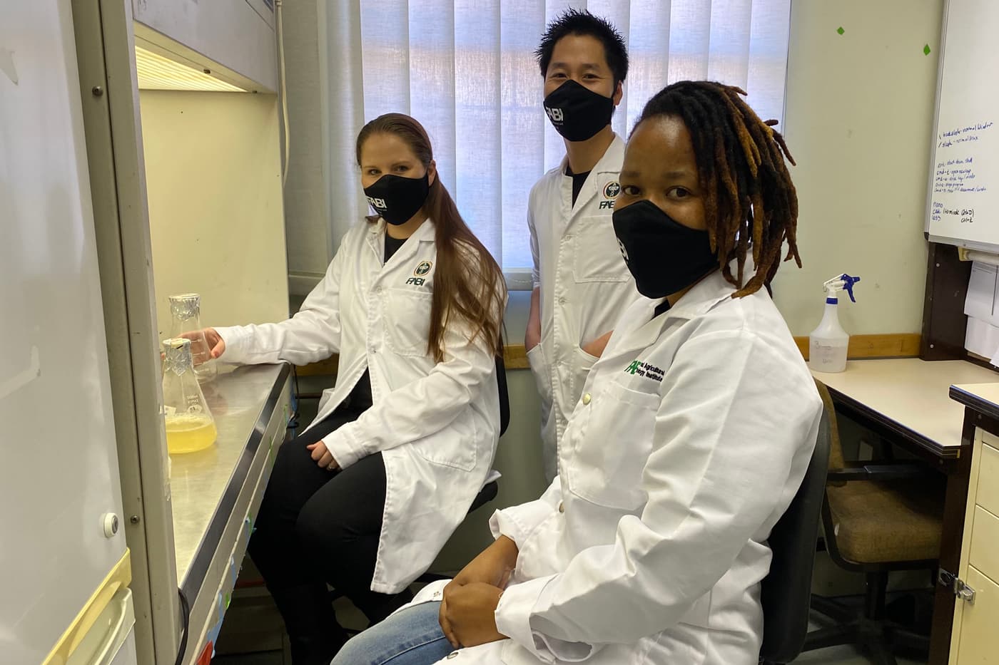 A different way of communicating our research