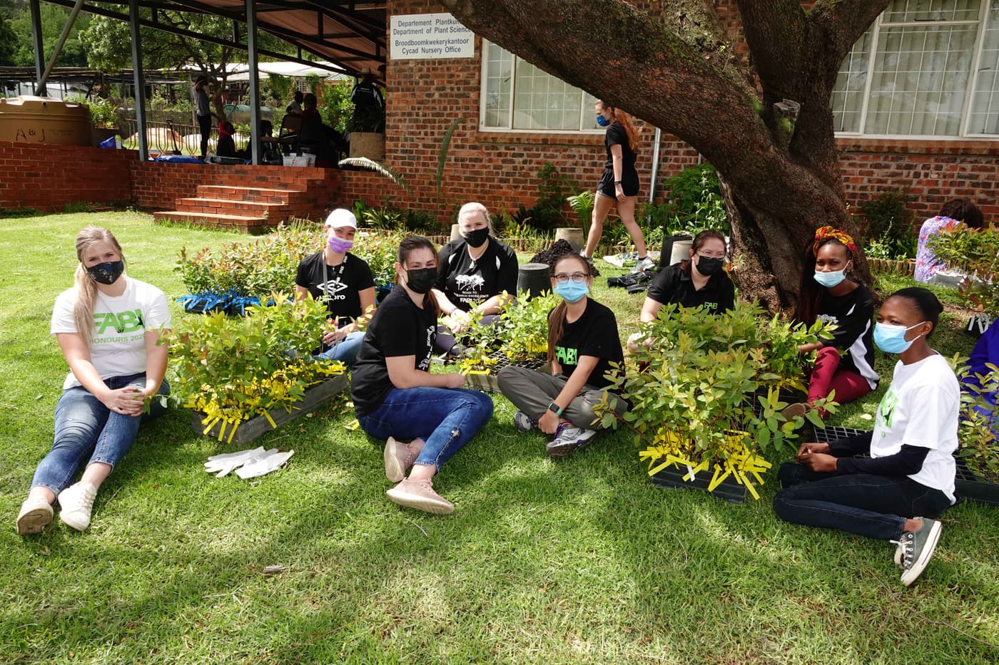 Tree planting brings the year to a close