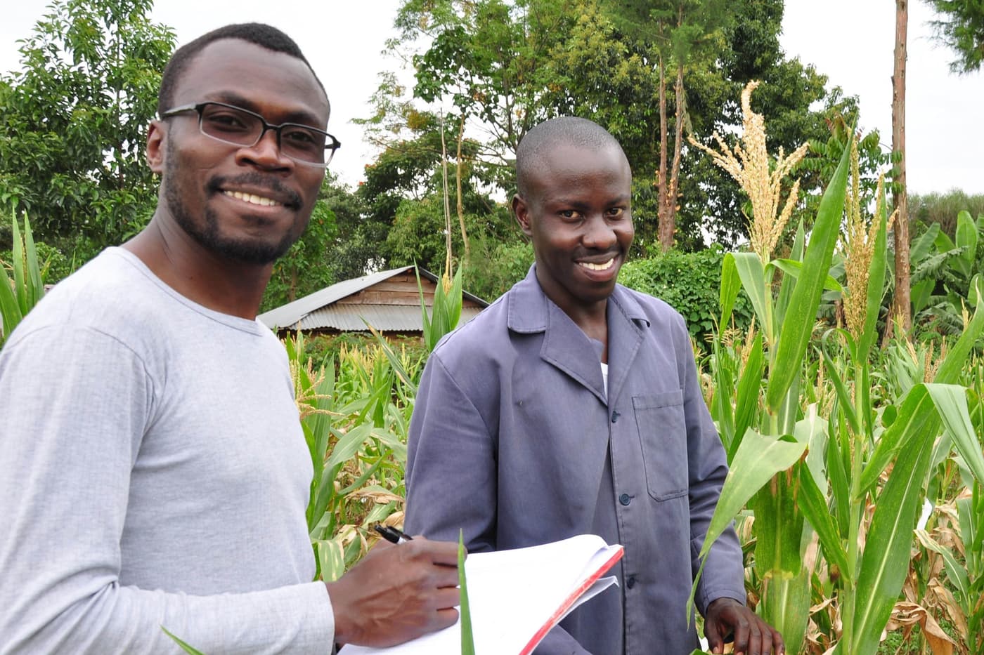 Dennis Omondi, “honorary FABIan”, graduated with MSc (Plant Breeding) at Maseno University, Kenya