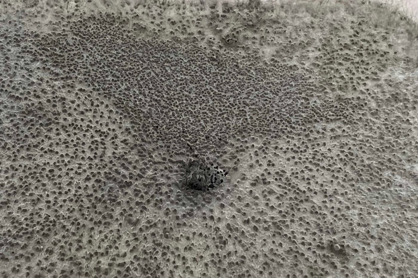 Many roads lead to Braunschweig: A research visit to TUBS and other research institutes