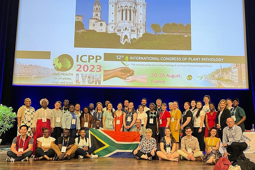 FABI’s tree health focus at the 2023 ICPP in Lyon, France