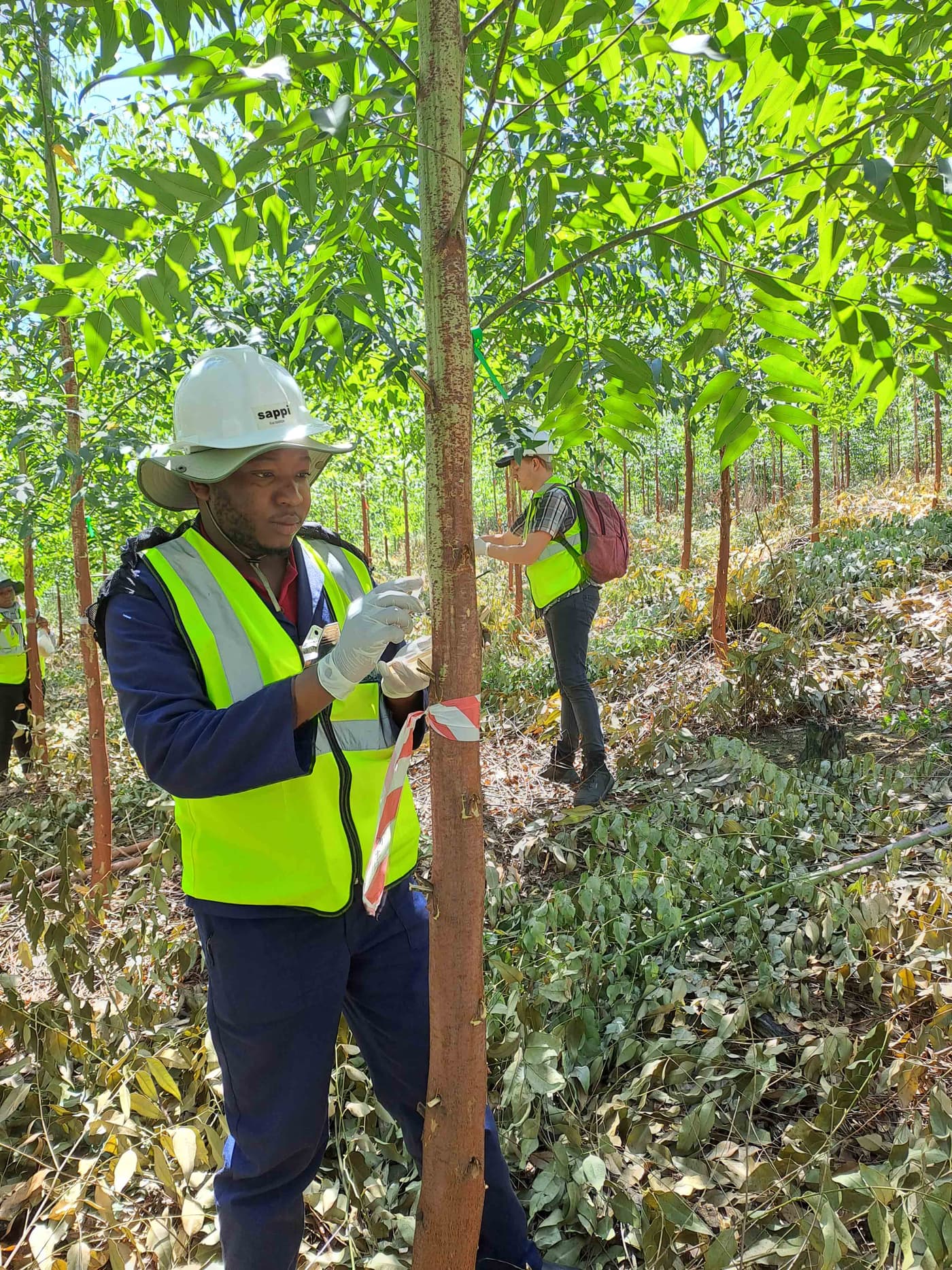 EPPI team undertakes the second large-scale field inoculation trial in 2023