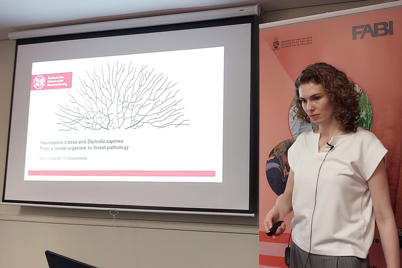 German collaborator presents her research at FABI's MMM