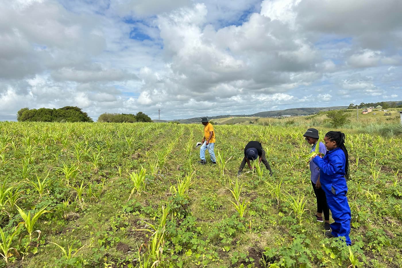 The GRP@FABI visits the Eastern Cape Province, South Africa