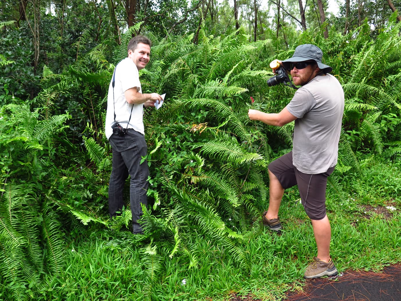Two Centres of Excellence join forces in research on La Reunion Island