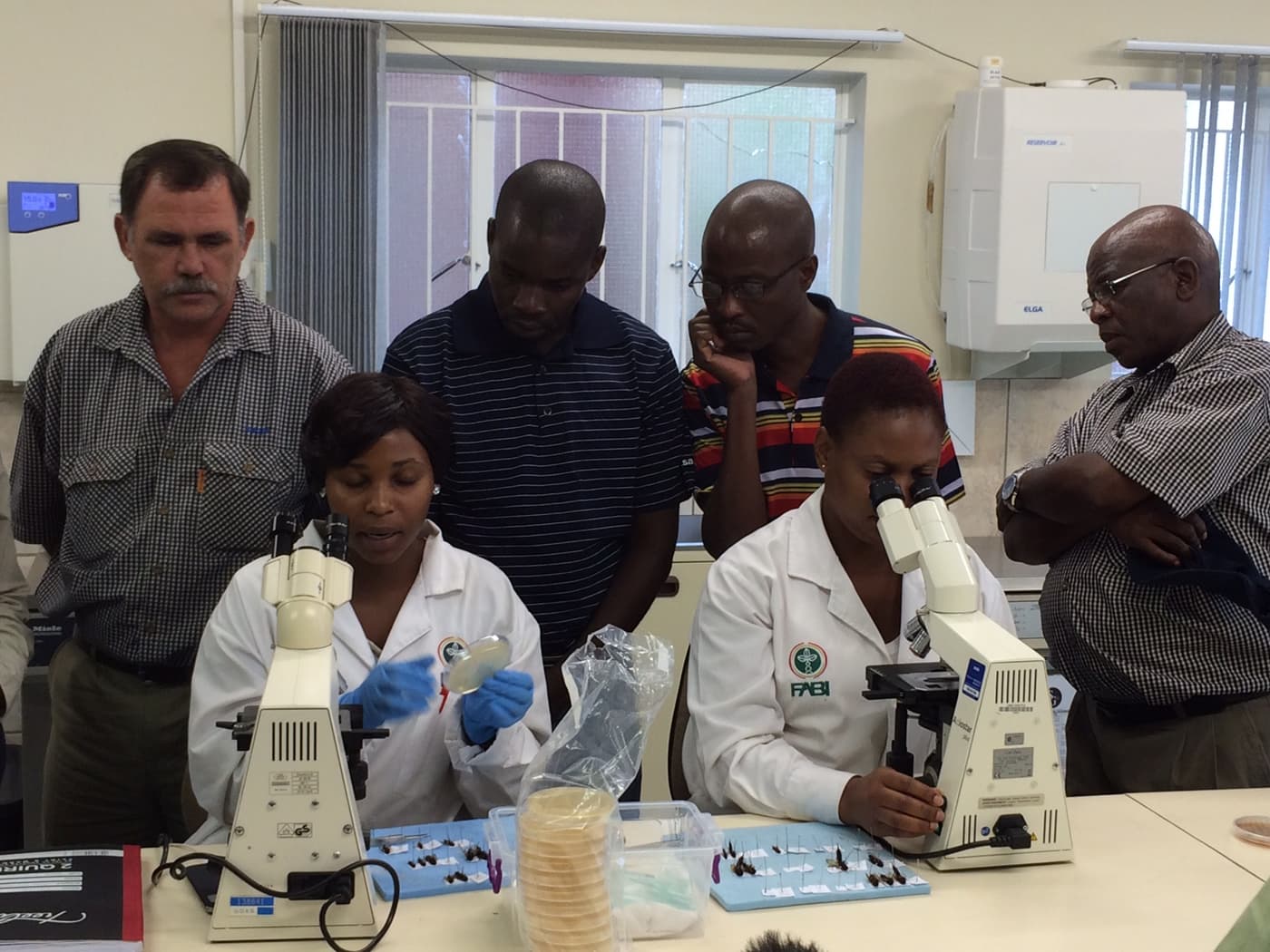 Sappi foresters visit FABI
