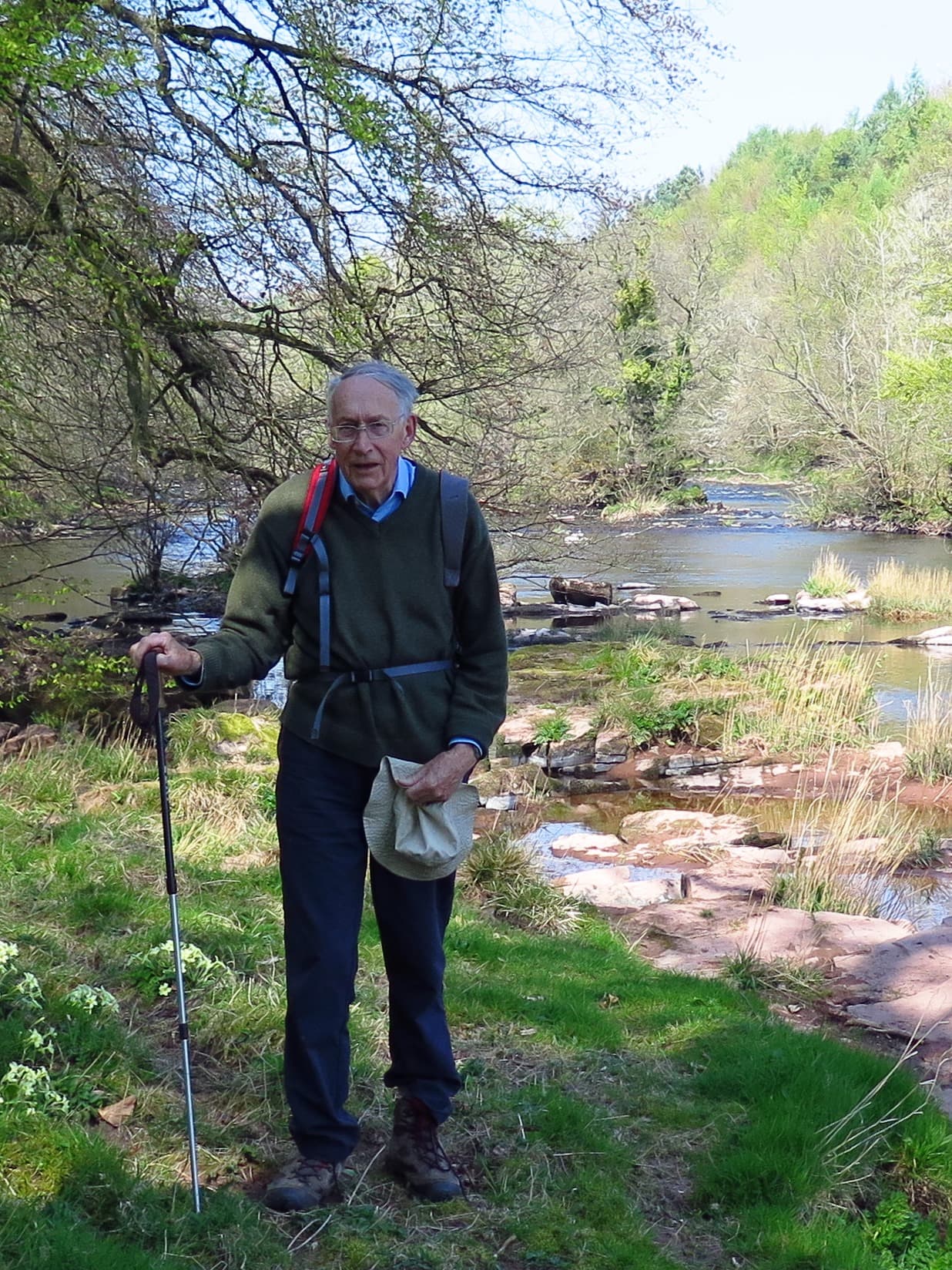 FABI director speaks on global tree health