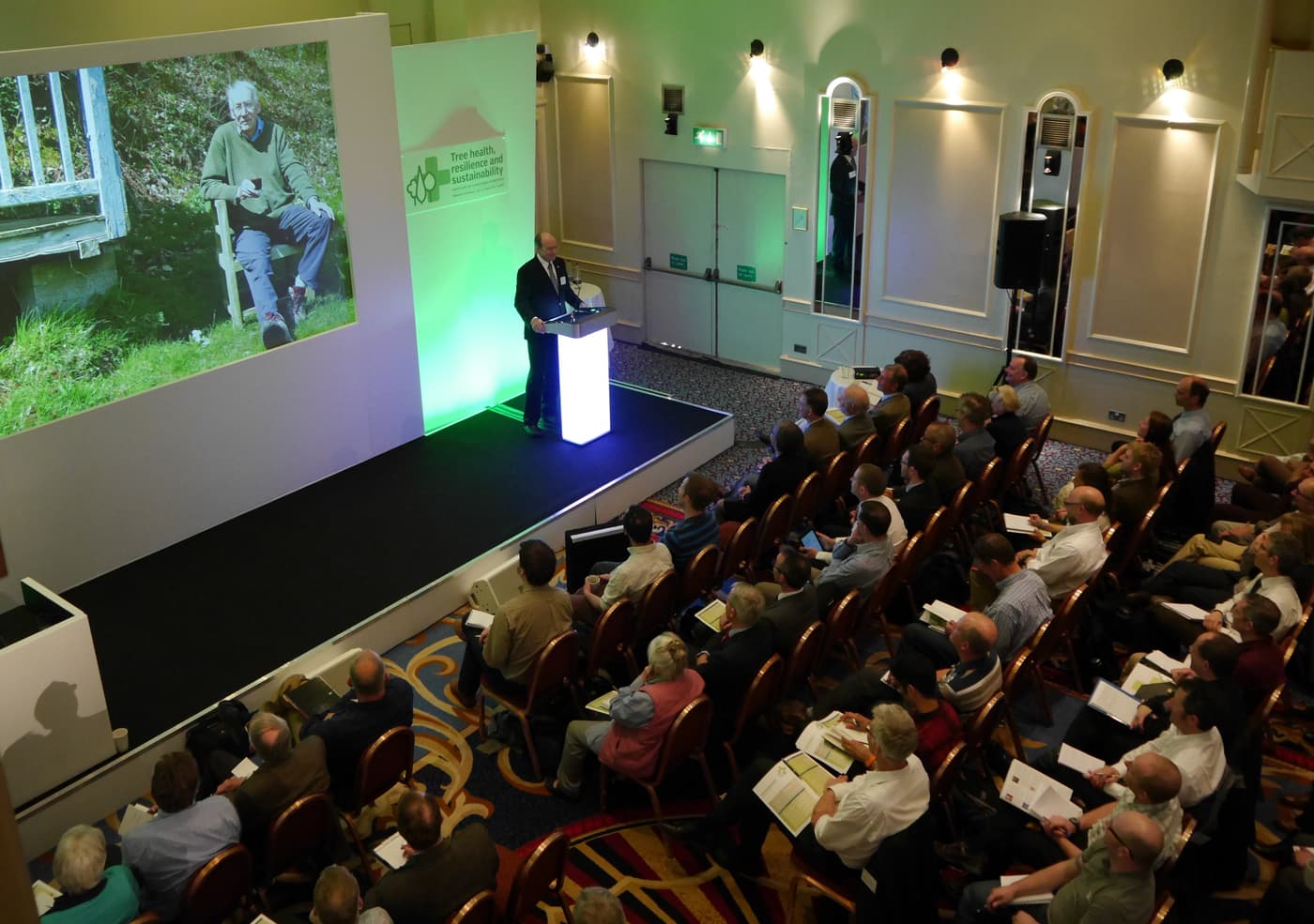 FABI director speaks on global tree health
