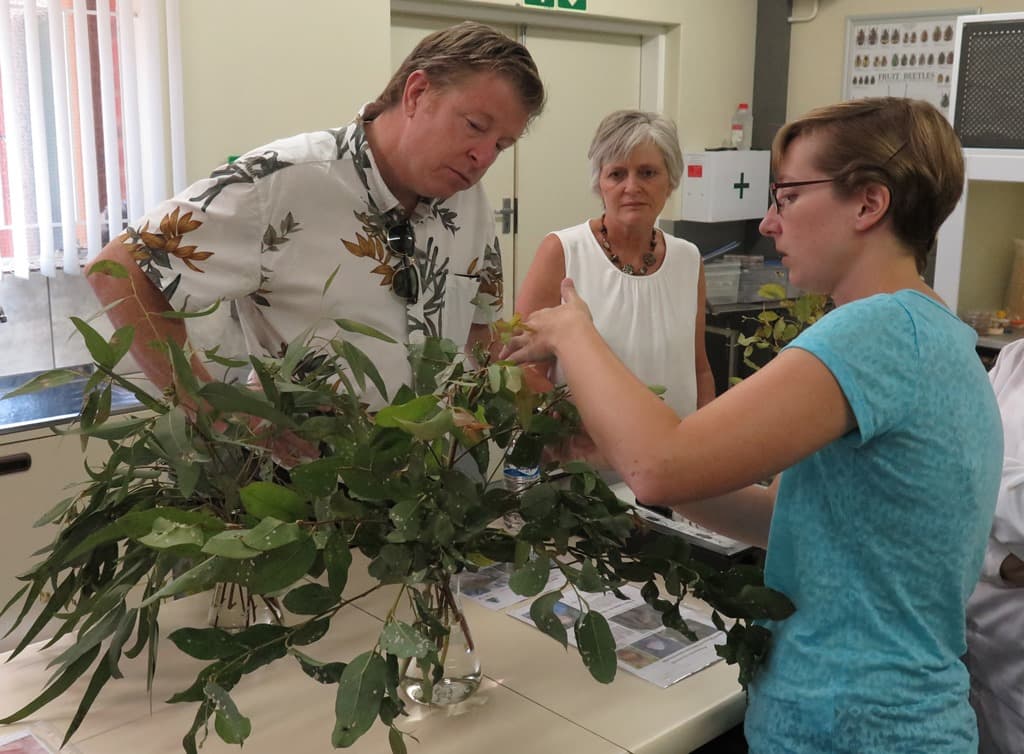 Plant pathologist from Washington State University presents a special seminar at FABI