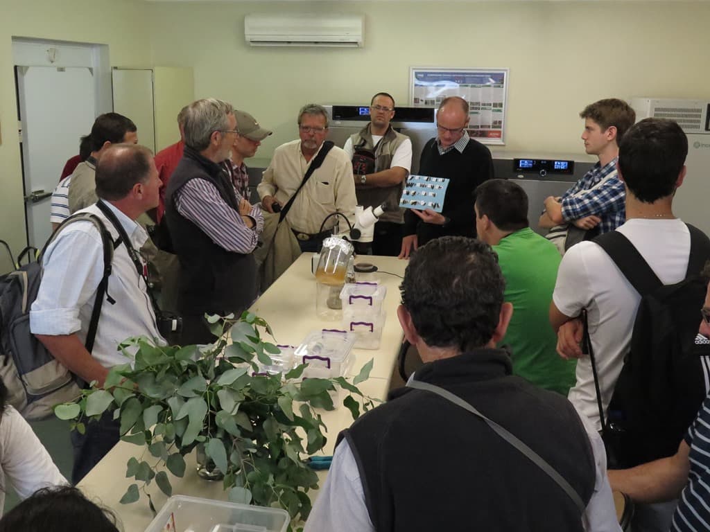 Argentinian tree growers visit FABI