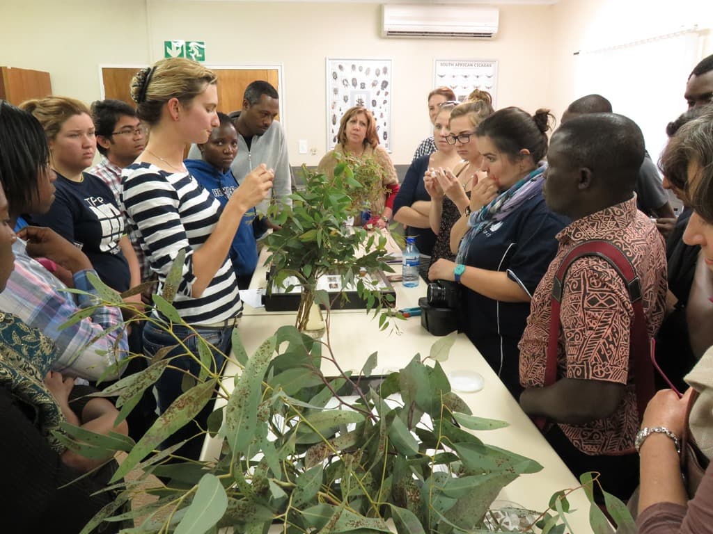 FABIans visit the Biocontrol Facility