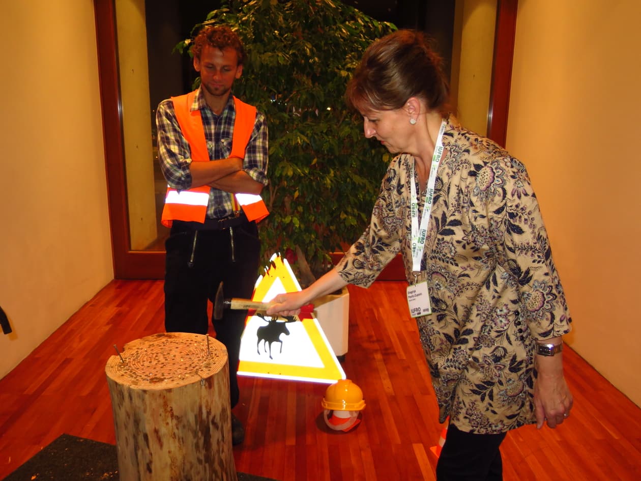 FABI shines at the IUFRO Anniversary Congress