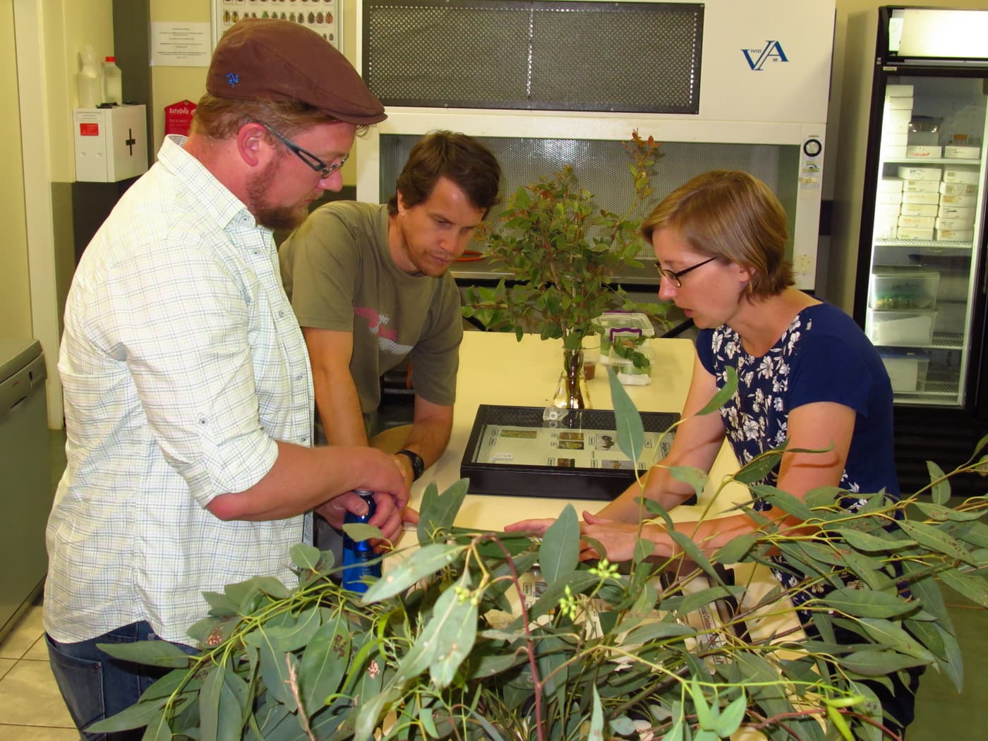 Senior research scientist from Finland visits FABI