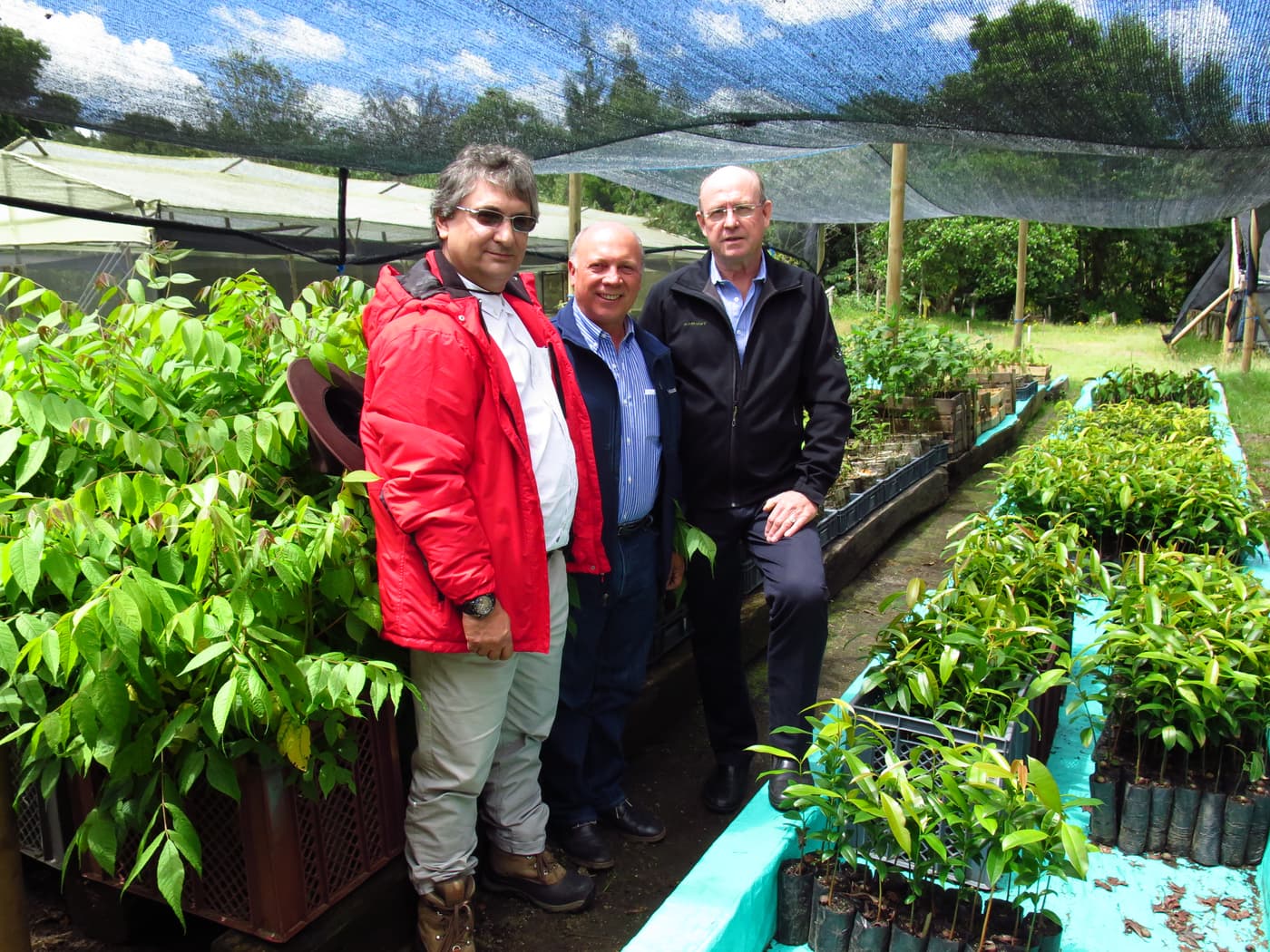 Meeting to develop a national forestry Protection Program for Colombia