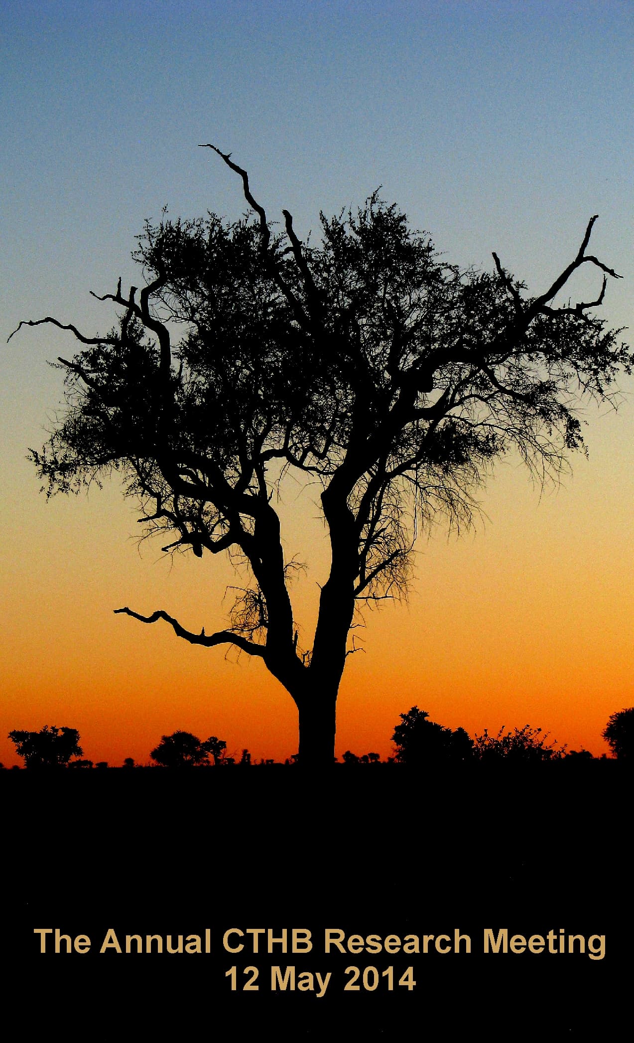 Seeing the Forest for the Trees: The Annual CTHB Research Meeting