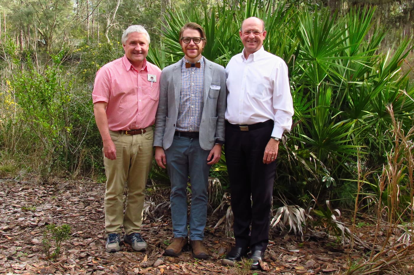 A tree health engagement in Florida