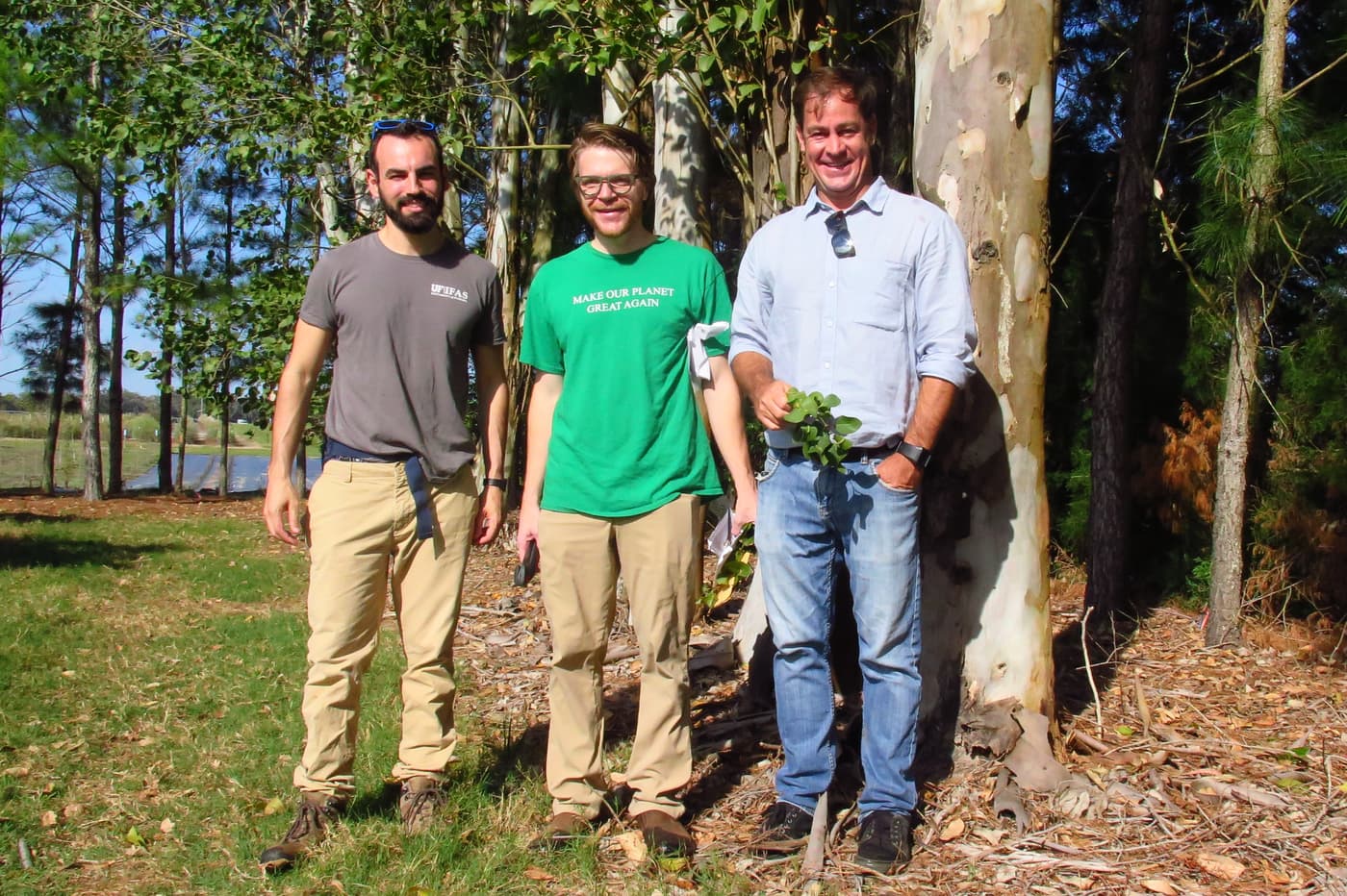A tree health engagement in Florida