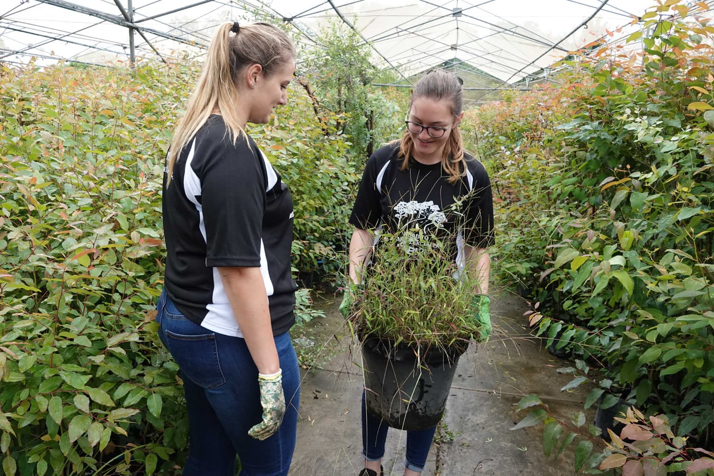 Tree Planting goes on despite wet conditions