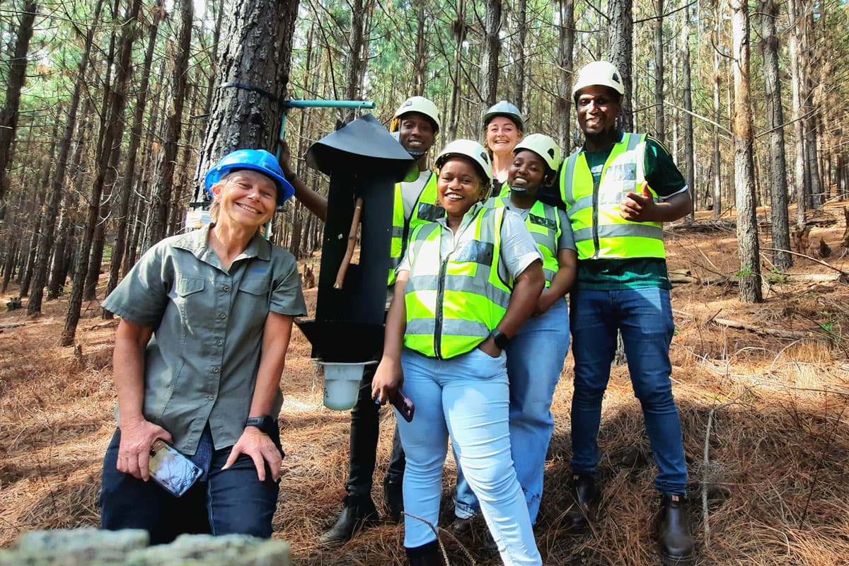 The SAPPI and FABI team with one of the <i>Pissodes</i> weevil traps