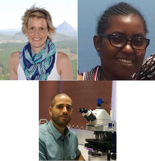 World-leading work on bacteria, fungi and insects rewarded with prestigious FLAIR Fellowships in FABI