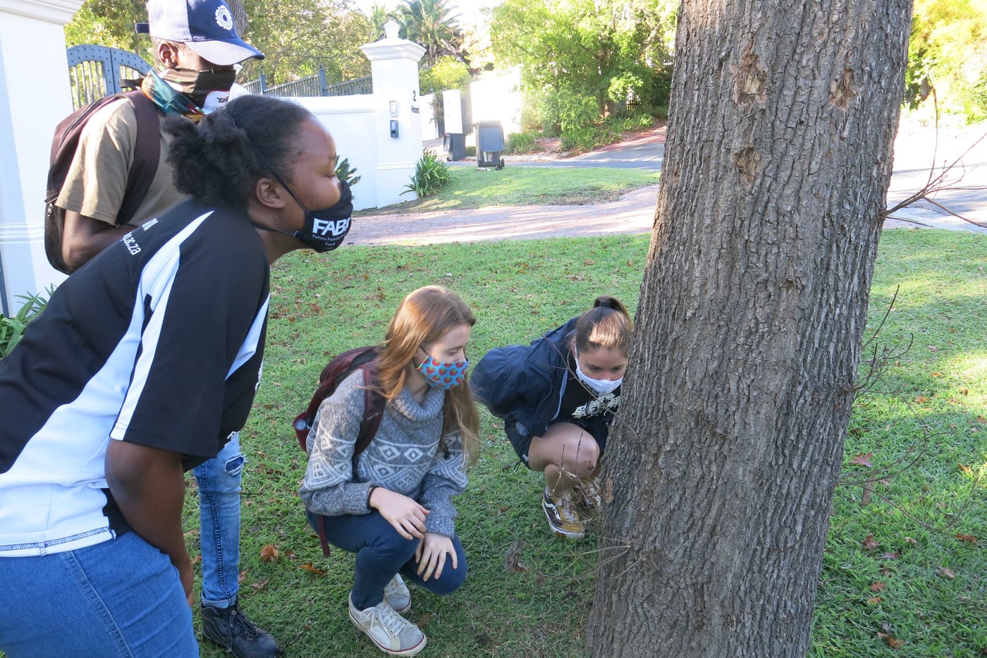 The PSHB takes FABI researchers to Somerset West