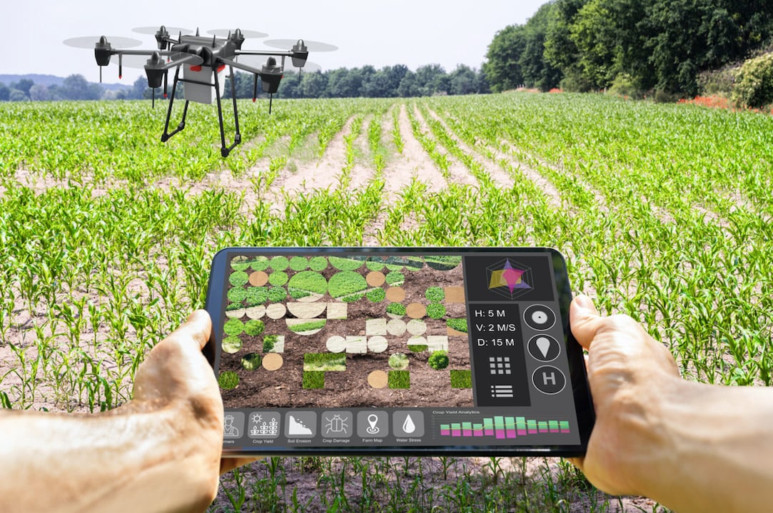 AI and Crop Health – Business Day article for World Food Day