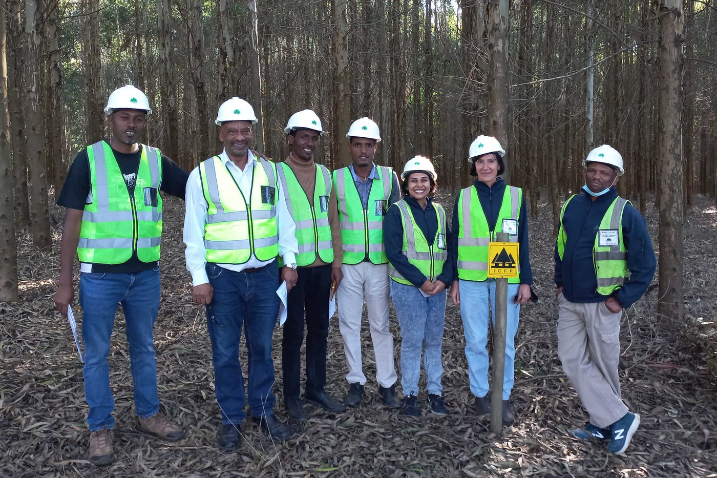Ethiopian researchers visit FABI, ICFR and local forestry companies