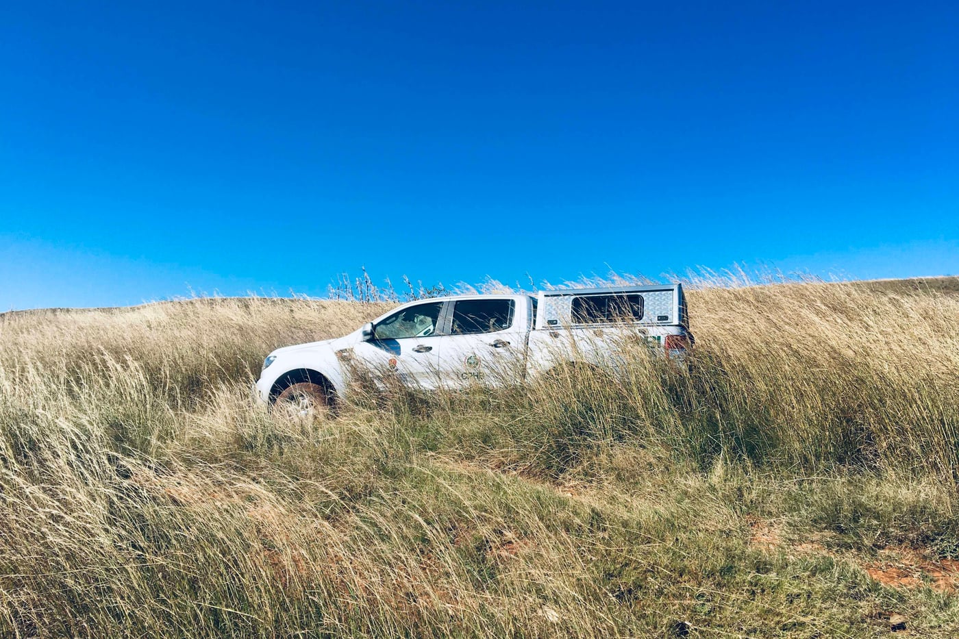 The GRP extension team completes a maize ear rot survey in the Eastern Cape