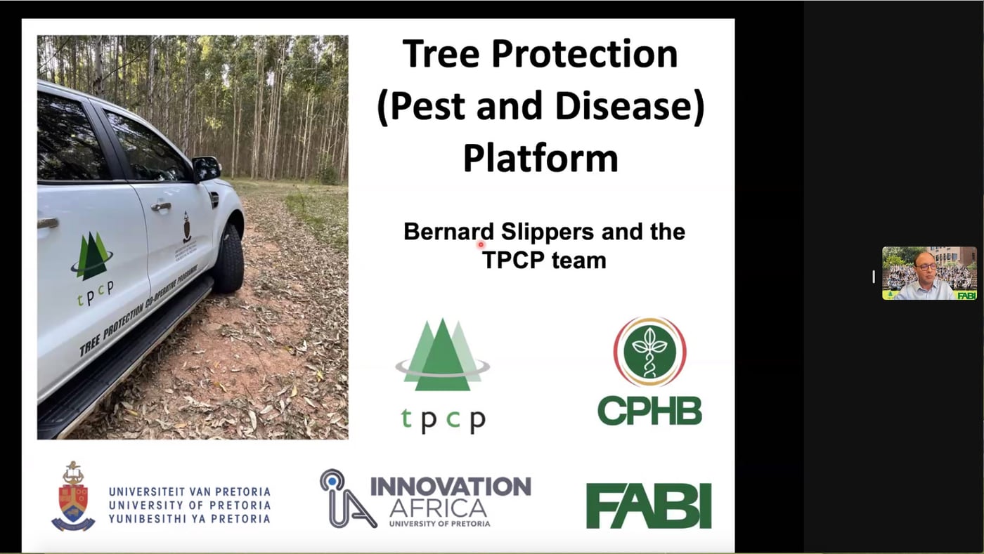 FSA webinar celebrates the International Day of Forests