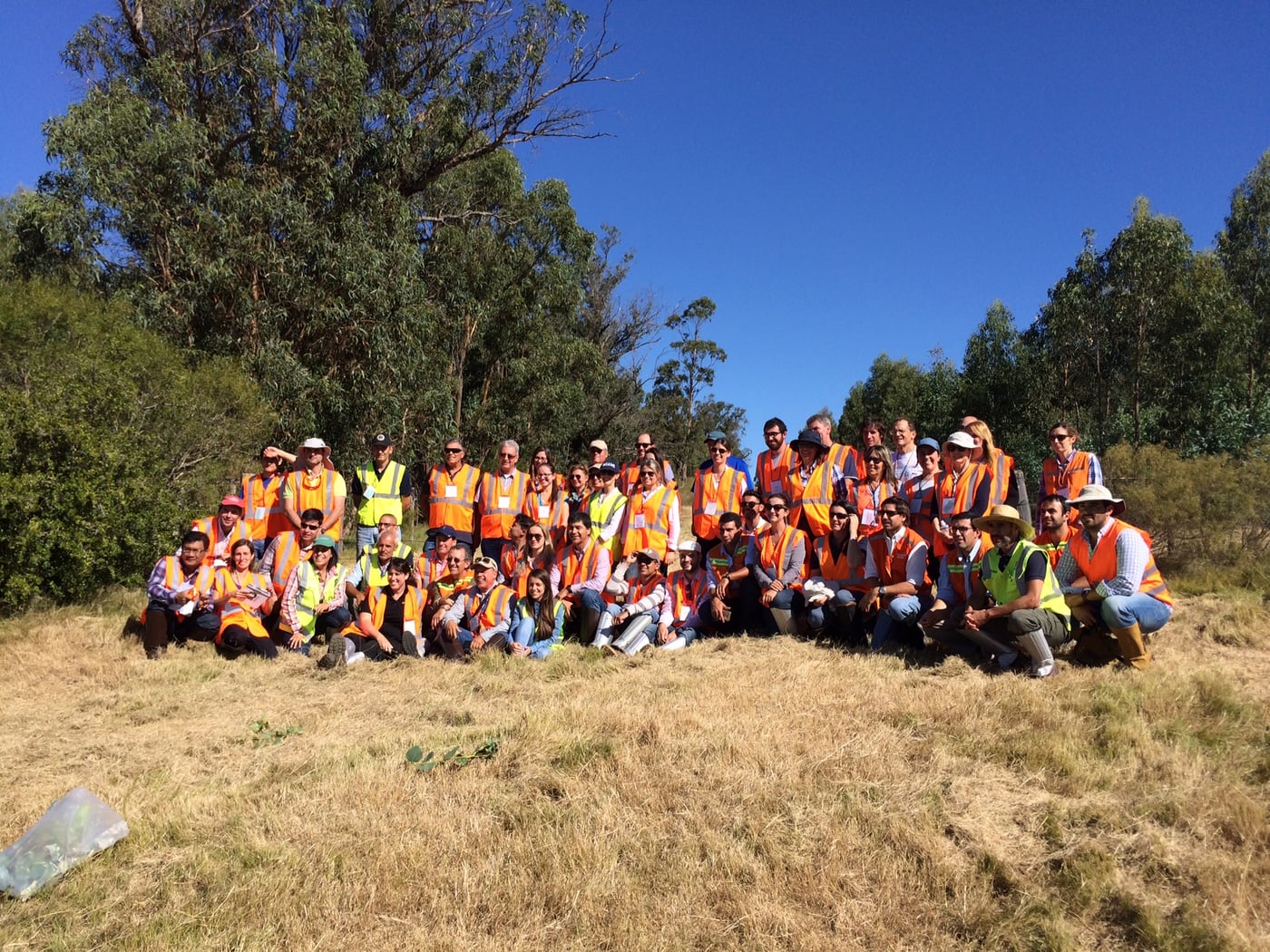 Forest health in Southern Hemisphere commercial plantations