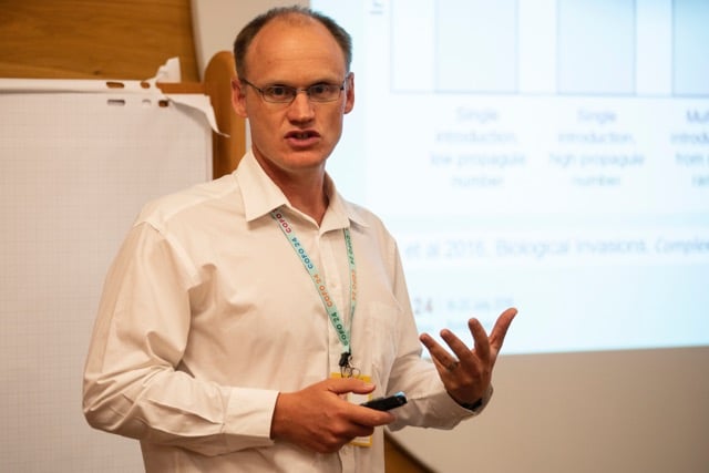 FABIan participates in FAO event on forest invasive species