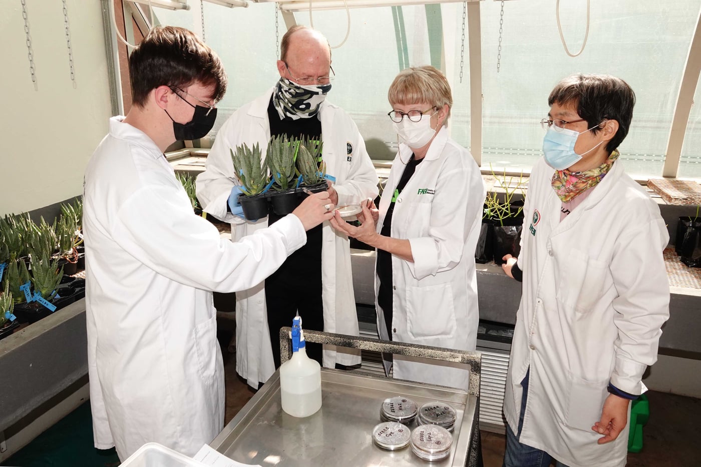 An inoculation “party” in FABI