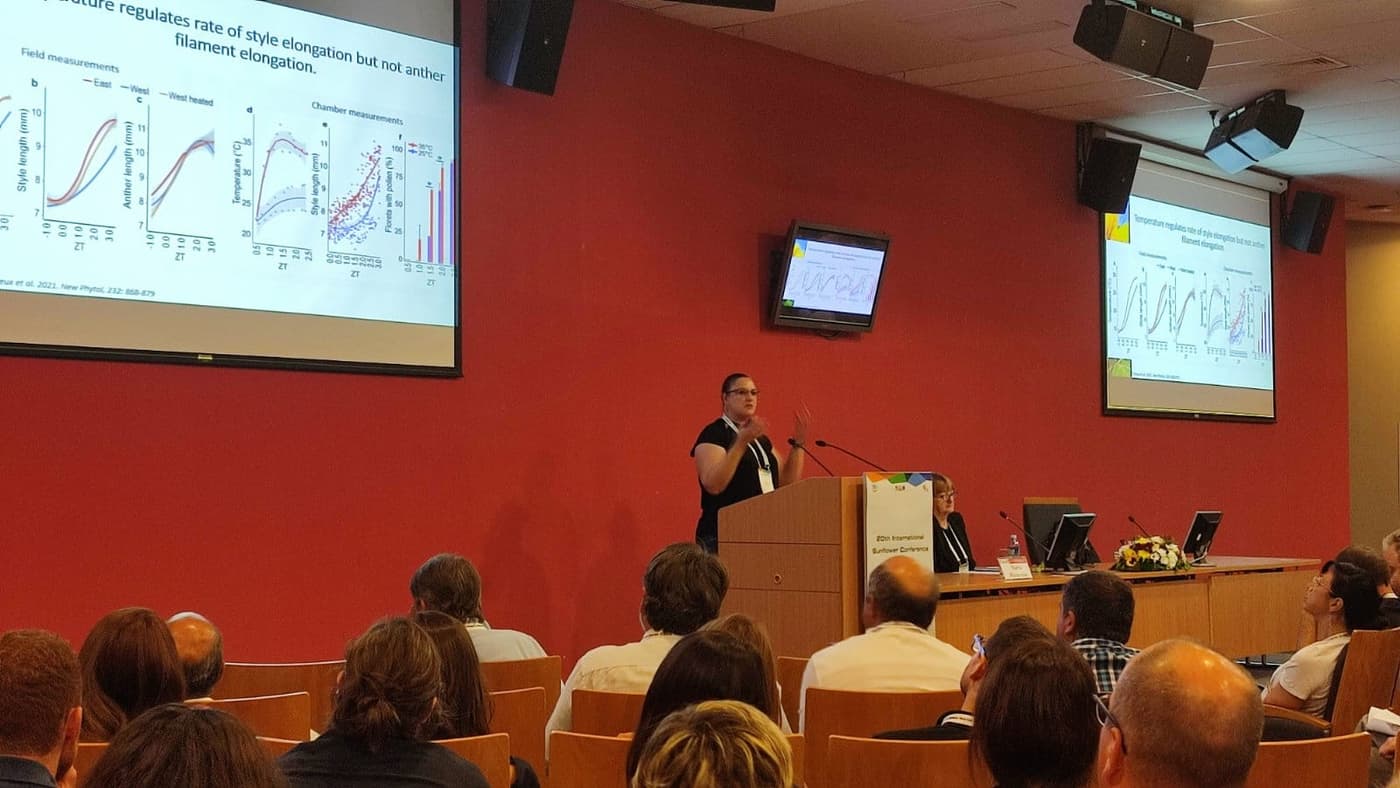 FABI attends the 20<sup>th</sup> International Sunflower Conference in Serbia
