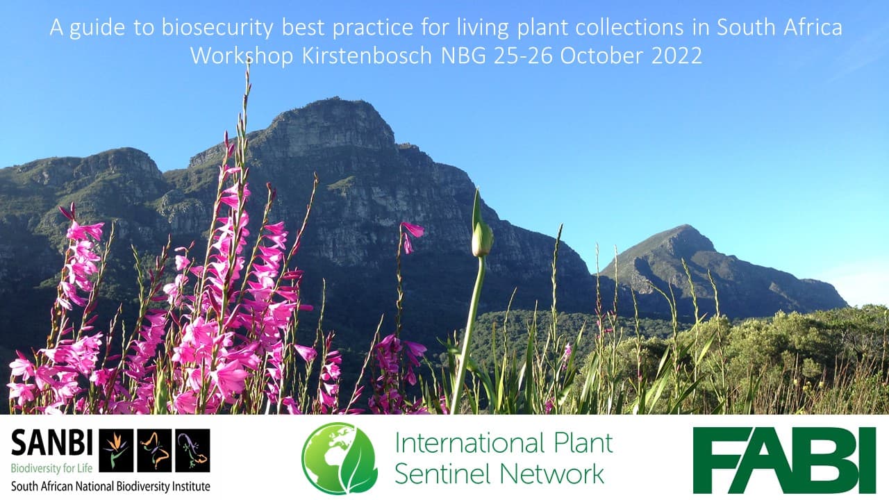 A FABI/SANBI plant health and biosecurity workshop