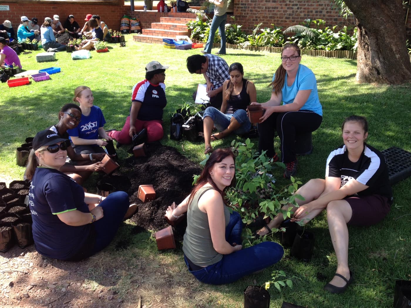 TPCP-CTHB students break the tree planting record again!