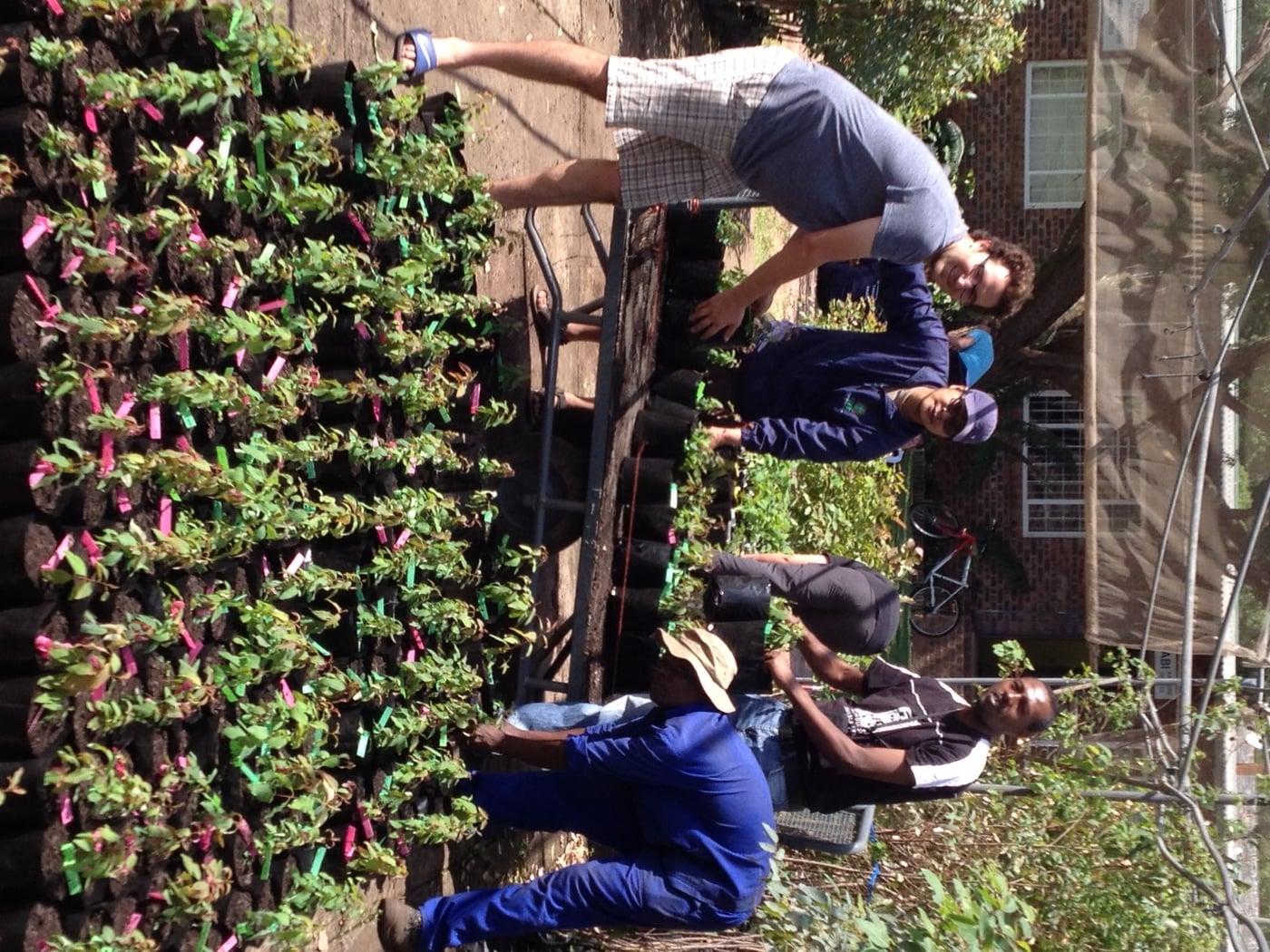 TPCP-CTHB students break the tree planting record again!