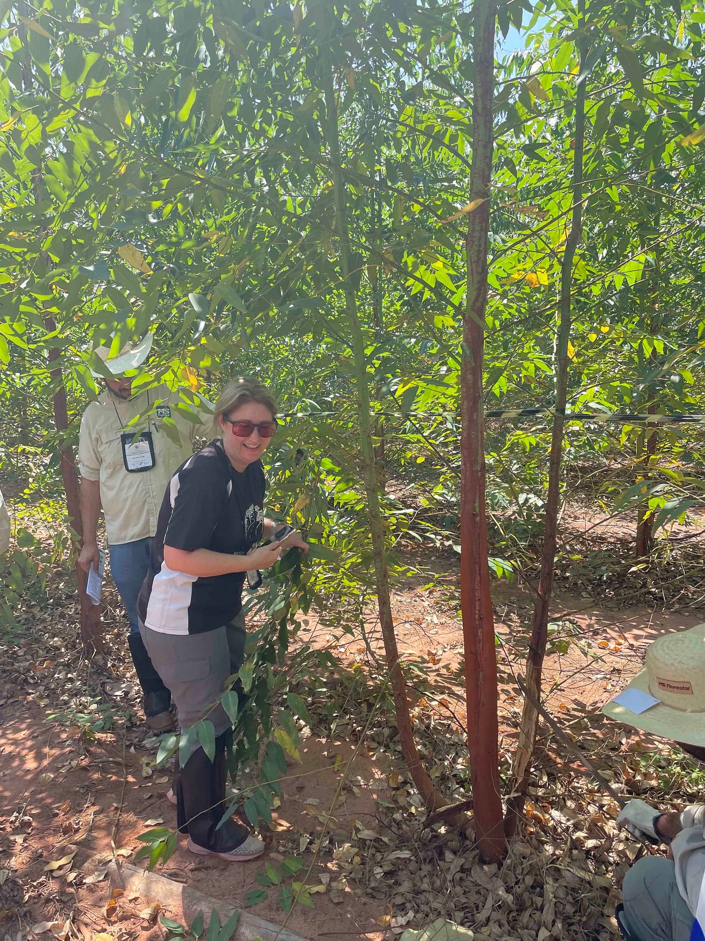 FABIans attend IUFRO Working Group meeting on Southern Hemisphere plantation health