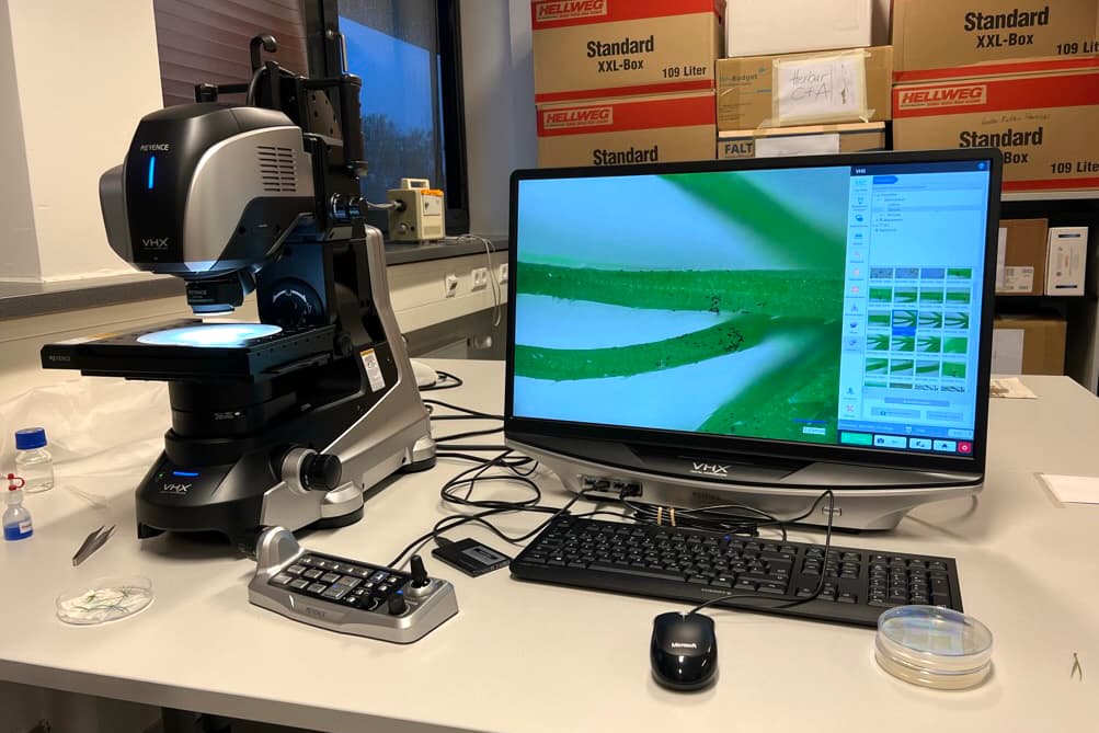Growing linkages with Germany for research on plant mycobiome under climate change
