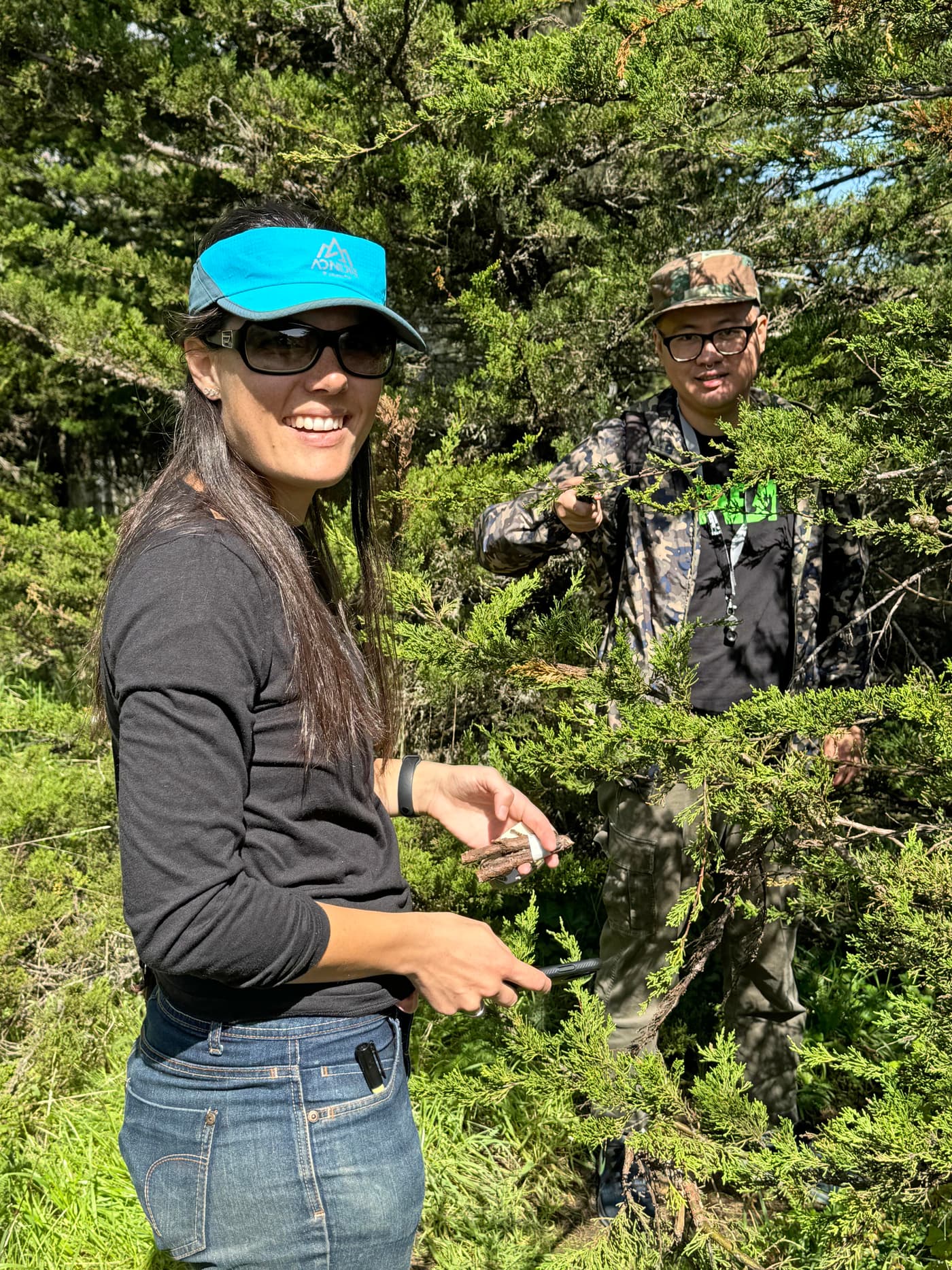 Pursuing Cypress canker questions with California collaborators