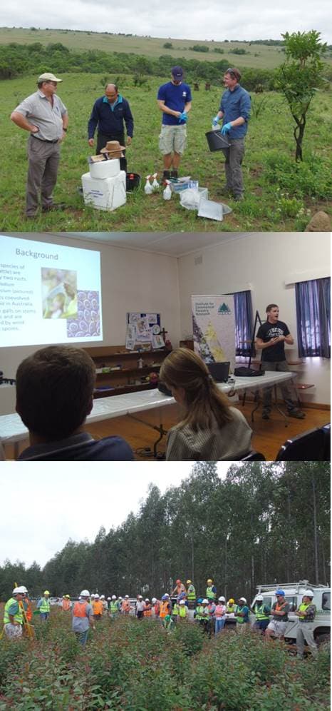FABIans present talks at ICFR Field Day